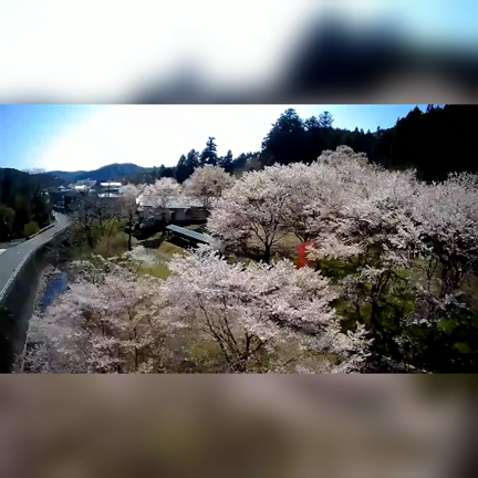 気分転換の記事動画