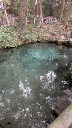 臨床研究74回目　ハーパー63回目　今年も無事来れた事に感謝いたします⛩️の記事動画