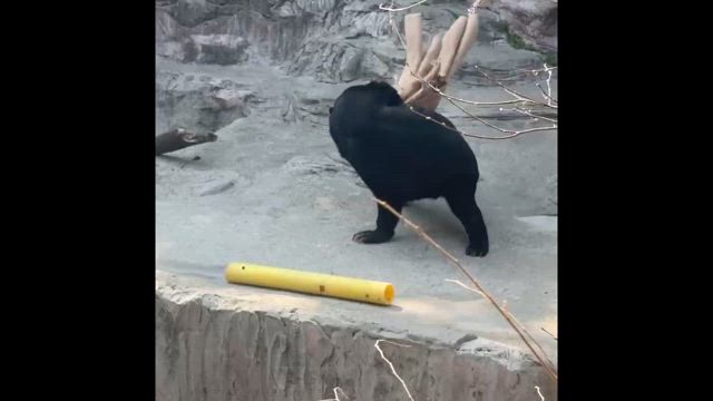 大阪へ行きました！part.3の記事動画