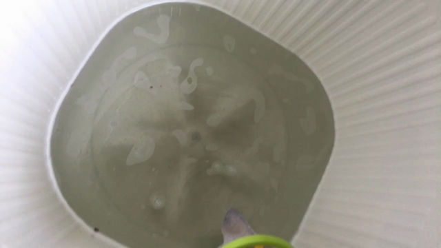過炭酸ナトリウムが良いと言う話の記事動画