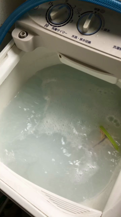 過炭酸ナトリウムが良いと言う話の記事動画