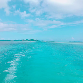 ✨inパラオの海の楽しみかた❤︎✨の画像