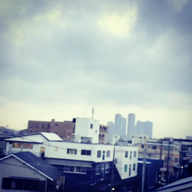 11月13日(火)の画像