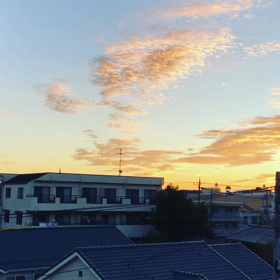 11月1日(木)の画像