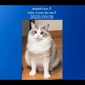 2025/09/18の画像