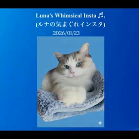 2026/01/23の画像