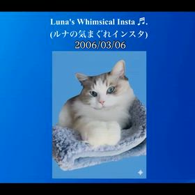 2026/03/06の画像