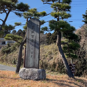 去年と同じことをしてみるの画像