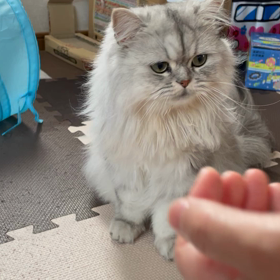 今日で。の画像
