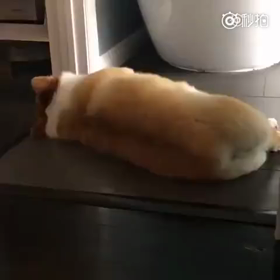 好きですかの画像
