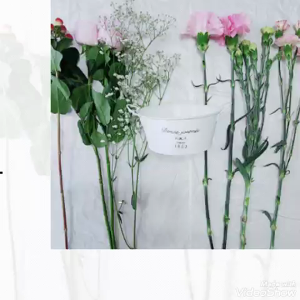 復活なのか？一週間ほど前に、お花動画を作ってみた件の記事動画