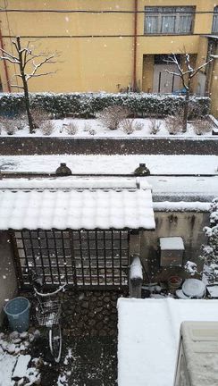 雪！嬉しくって動画追加の記事動画