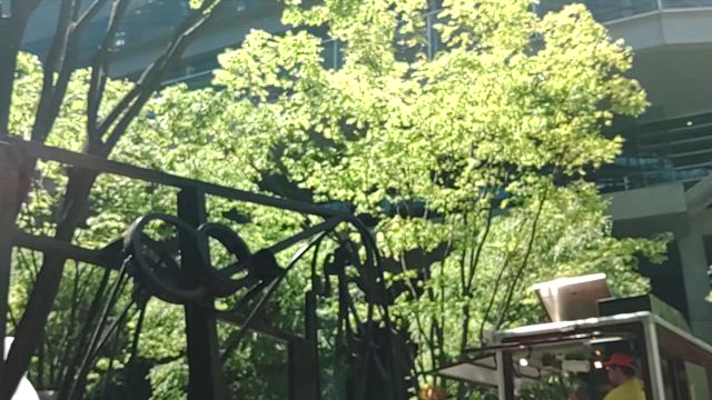 今年のラ・フォル・ジュルネの記事動画