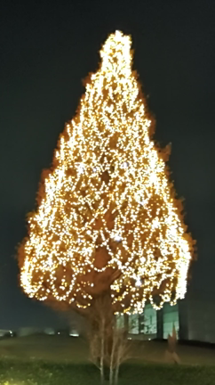 もうすぐクリスマスの記事動画