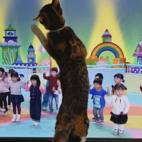 あたちは怪獣ヾ(ﾟдﾟ)ﾉの画像