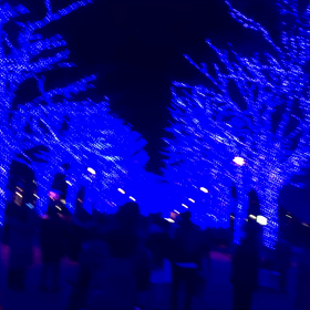 ゆづの画像