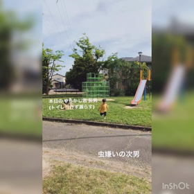 わたしの奮闘記の画像