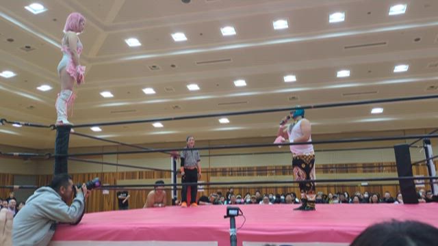 自身の目指すレスラー像の記事動画