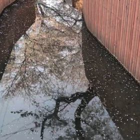 2026/03/29の画像