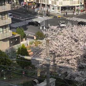 2026/04/03の画像
