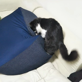 どんな的にも怯まず立ち向かう！の画像