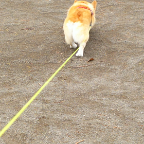 OCHIRIの画像