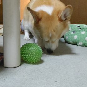 今日も明日も明後日もの画像