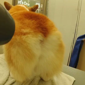 ただただの画像