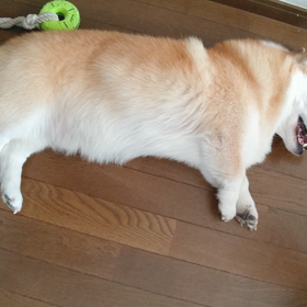 動かずともの画像