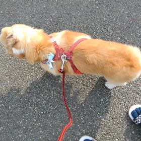 今日の１秒の画像