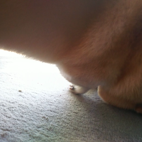 あががが～の画像