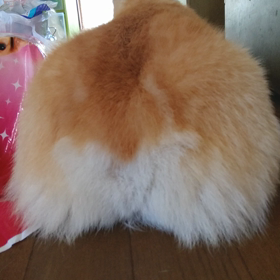 今日の１動画の画像