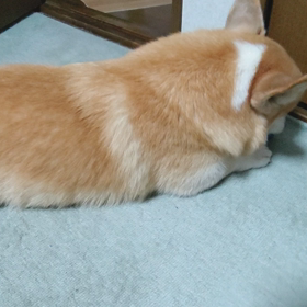 １人で楽しみたい瞬間の画像
