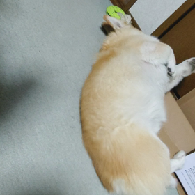 今日の１動画の画像