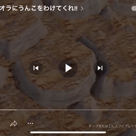 素敵な動画の画像
