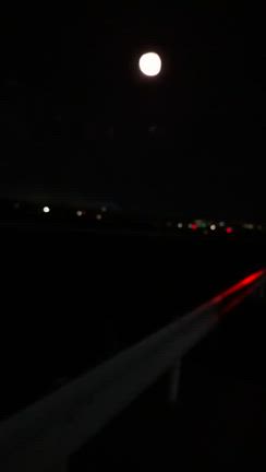 花火の記事動画