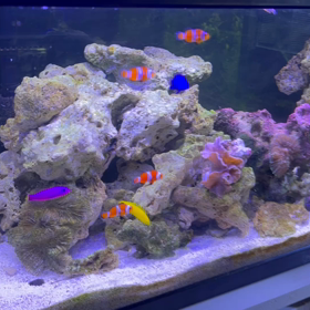 海水メイン現在の様子の画像