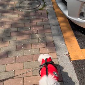 朝活の画像