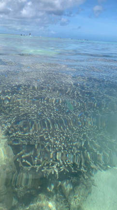 iPhoneXsでも海の撮影・・・。の記事動画
