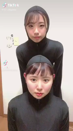 マイアヒ(閲覧注意)の記事動画