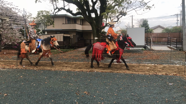 柳川流鏑馬　三柱神社の記事動画