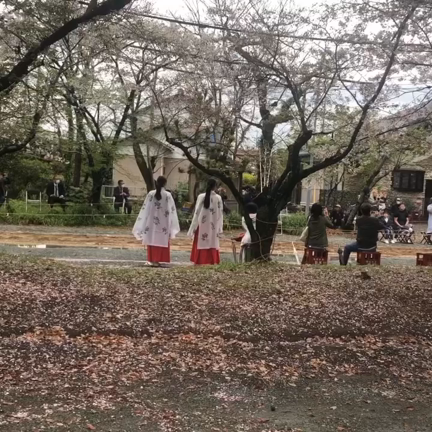 柳川流鏑馬　三柱神社の記事動画