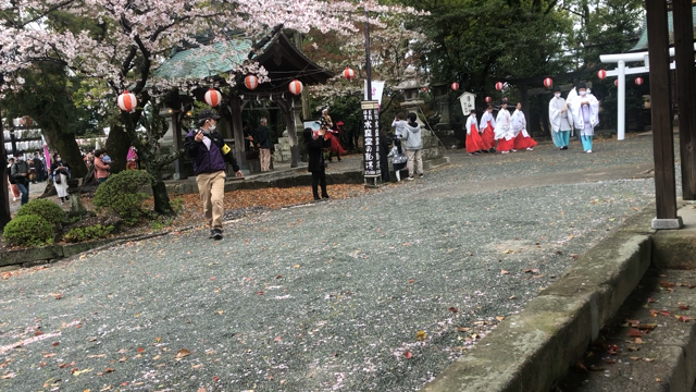 柳川流鏑馬　三柱神社の記事動画