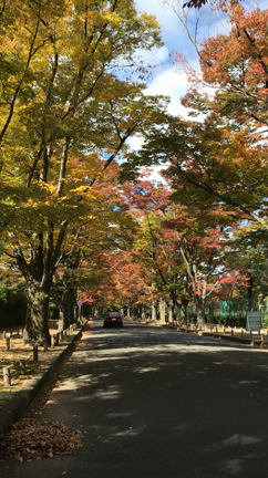 11月の別名「冬月」の記事動画