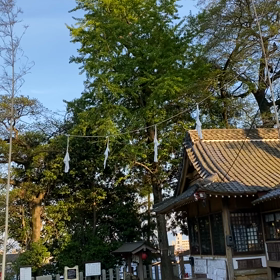 自粛中のカラダ悩みベスト5の画像