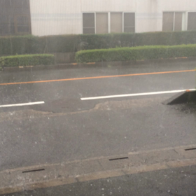 久し振りの雨がの画像