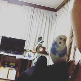 いつものふたりの画像