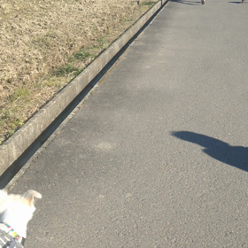 あけましておめでとうございますの画像