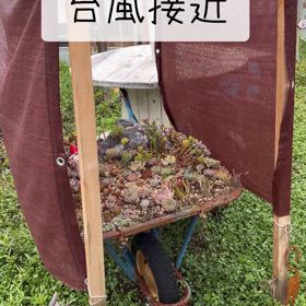 台風接近の画像