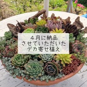 仕立て直ししました。の画像